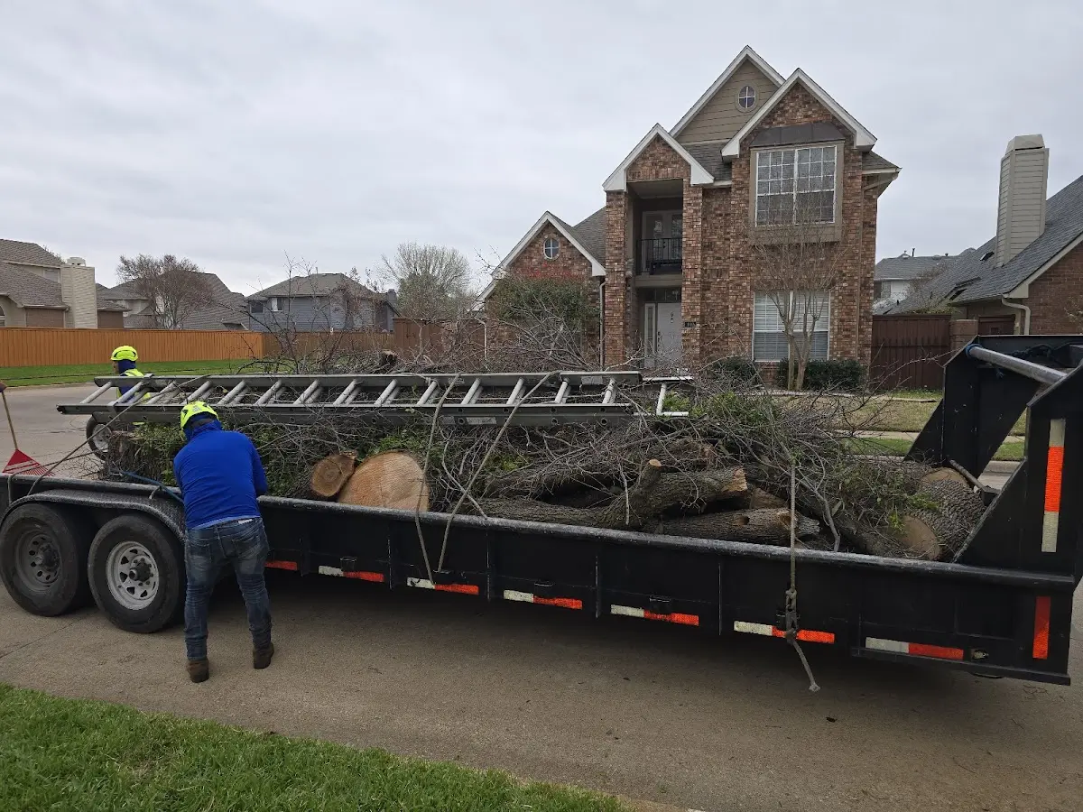 Expert Tree Removal with proper safety equipment in Grand Tower